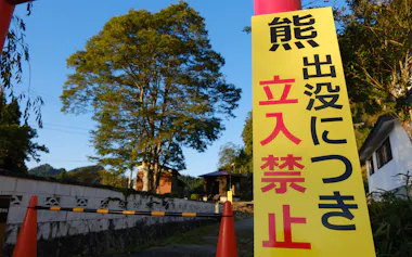 人が生活する領域にもクマが出没することが増えた