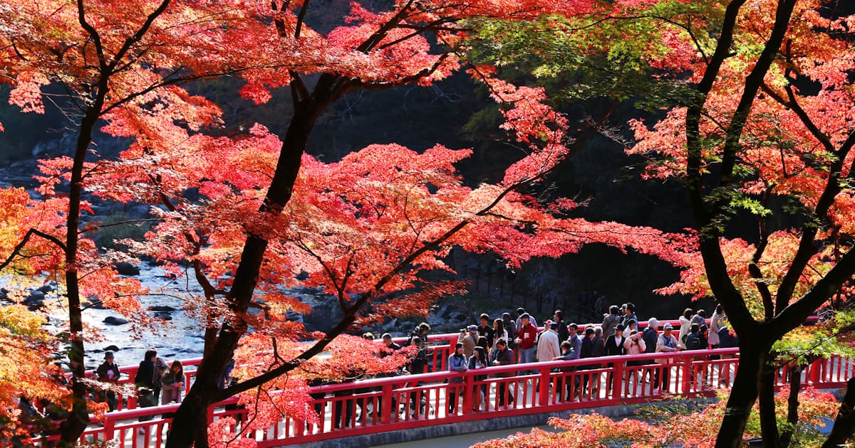 Hnjtg25qv9rjcm Hnjtg25qv9rjcm