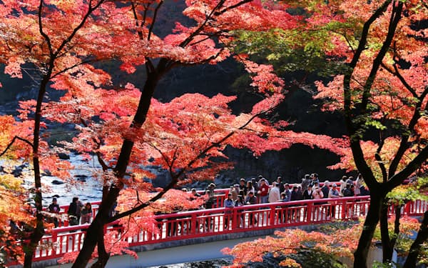 紅葉が見ごろを迎えた香嵐渓（2016年11月、愛知県豊田市）