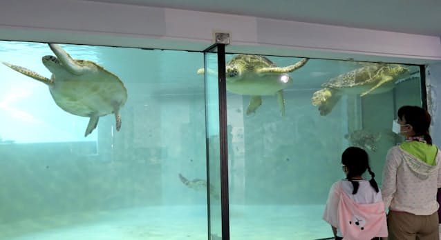 Mykxzcvgilhfm Mykxzcvgilhfm