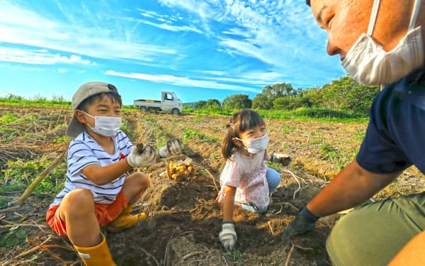ジャガイモ掘りを体験する奏佑君（左）と芽依ちゃん（９月、北海道厚沢部町）