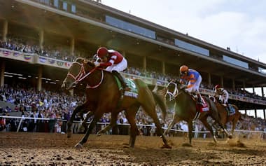 BCクラシックでの優勝が高く評価されたフォーエバーヤング㊧が25年の年度代表馬に選ばれた=共同