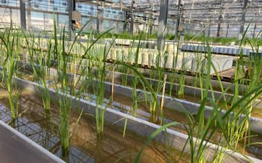 日産化学の生物科学研究所(埼玉県白岡市)