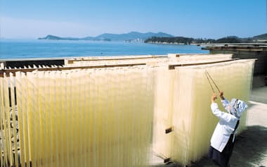 小豆島そうめんは天日干しをするのが特徴だ