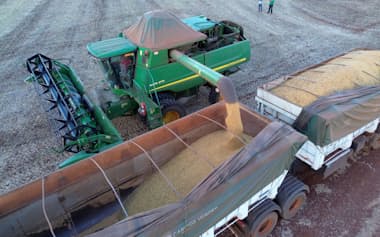 ブラジルの大豆畑(2025年3月)=ロイター