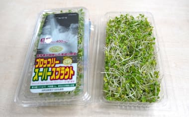 村上農園が生産するブロッコリーの新芽