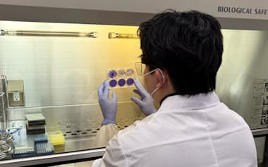 東京大学はマラリア治療薬の開発に向けた研究に取り組む=東大の根岸英雄特任講師提供