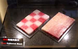 培養肉未来創造コンソーシアムが大阪・関西万博の大阪ヘルスケアパビリオンで展示した実物の培養肉(大阪市此花区) 培養肉未来創造コンソーシアムが大阪・関西万博の大阪ヘルスケアパビリオンで展示した実物の培養肉(大阪市此花区)