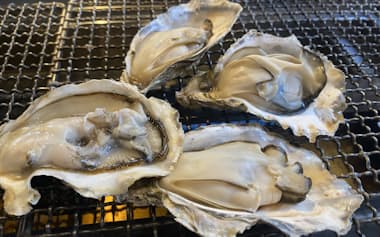 カキ大量死の原因究明には数年かかる見通し
