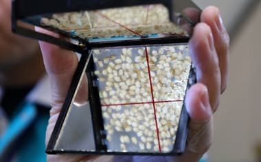 等級検査の様子(2025年10月23日撮影)