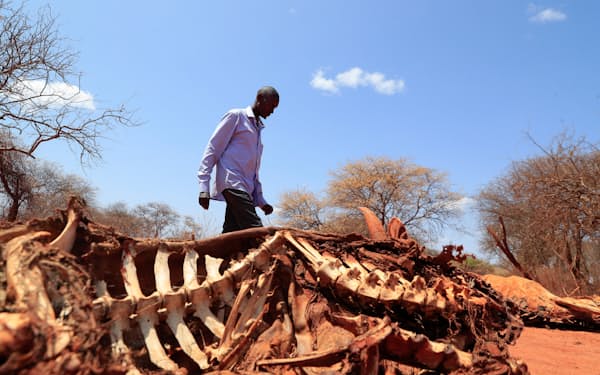 東アフリカは干ばつで食糧危機に（９月、ケニア・エチオピア国境）＝ロイター
