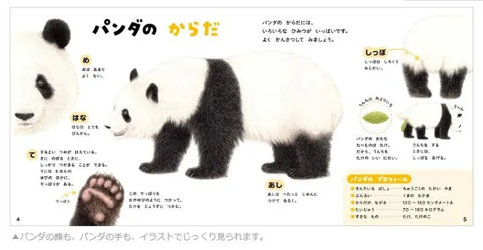 学研hd Gakkenが 学研のえほんずかん シリーズ パンダのずかんの予約受付を開始 日本経済新聞 学研hd Gakkenが 学研のえほんずかん シリーズ パンダのずかんの予約受付を開始 日本経済新聞