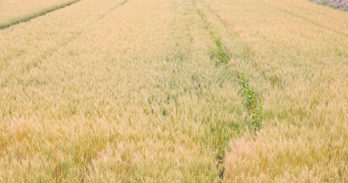 C 2jizopqx6afm C 2jizopqx6afm