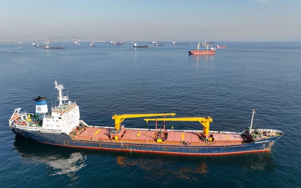 イスタンブールの近海で検査を受ける貨物船（10月31日）＝ロイター