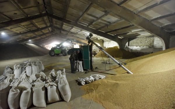 倉庫で出荷を待つ小麦（10月、ナポロフスコエ農場）