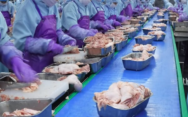 タイの鶏肉加工場は生産能力が回復してきた