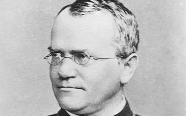 オーストリア帝国の植物学者で遺伝学の父であるグレゴール・メンデル。写真は1860年ごろ撮影されたもの。1856年から1863年にかけてメンデルは修道院の菜園で3万株近いエンドウマメを育て、親から子に特徴が受け継がれる際の特定の法則を発見した。(AMERICAN PHILOSOPHICAL SOCIETY/SCINECE PHOTO LIBRARY)