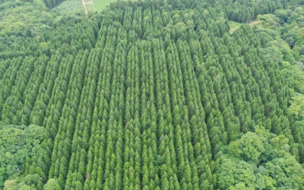 北海道は森林から得られる利益を森林再生に充てる