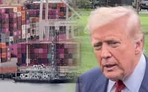 違憲判決を受け、日本企業も対応が求められる=NIKKEI montage/ロイター 違憲判決を受け、日本企業も対応が求められる=NIKKEI montage/ロイター