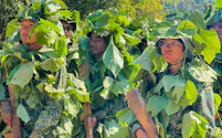 山にこもって軍事訓練を受ける国民防衛隊の若者(ミャンマー東部カヤ州)=PA・AP