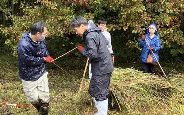 球磨川流域で作業するMS&amp;ADグループの社員（19日、熊本県相良村）