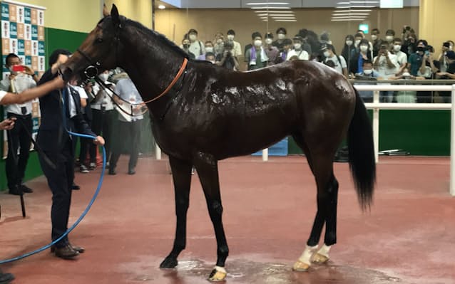 S3ptebbixcctpm S3ptebbixcctpm