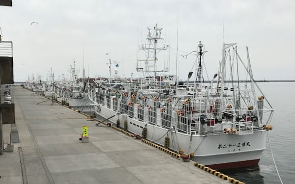 八戸港に並ぶイカ釣り漁船。近年の不漁を受けて減船の動きも出てきた