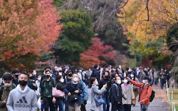 見頃を迎えた紅葉を楽しむ人たち(26日午前、皇居)=積田檀撮影