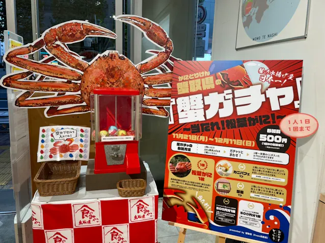 Gqmtiywktbyvnm Gqmtiywktbyvnm