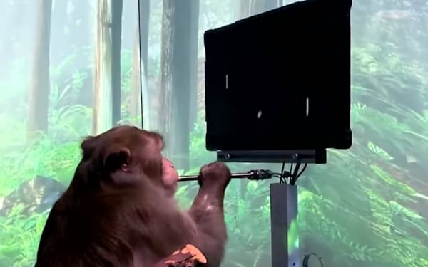 サルを使った実験では脳に埋め込んだデバイスを介してテレビゲームを操作できたとしている＝ニューラリンクの中継映像から