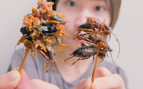 昆虫、ゲノム編集で食欲そそる 「未来の宇宙食」狙う - 日本経済新聞