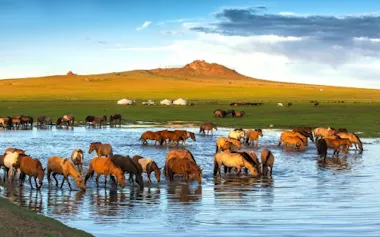 遊牧民の移動ルートは、紀元前3500年ごろからモンゴルの中核をなすもので、のちにシルクロードの一部になった部分もある。(BATZAYA CHOIJILJAV)