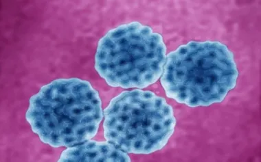 ヒトパピローマウイルス(HPV)粒子の透過型電子顕微鏡(TEM)着色画像。このウイルスは珍しいものではなく、体のさまざまな部位に感染して、子宮頸がんや外陰がん、膣がんなどの原因になる。(Cavallini James, BSIP/Science Photo Library)