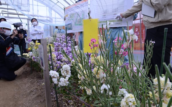 福島県内では除染土で農地などを造成する実証事業を実施（6月、飯舘村長泥地区）