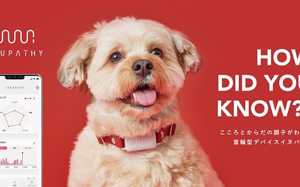 イヌパシー・カラー（2万5800円、アプリ月額利用料495円～）はリアルタイムで犬の行動と心の変化を飼い主に伝える
