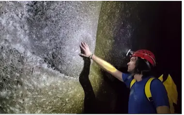 アルバニアとギリシャの国境にある硫黄洞窟で発見された巨大なクモの巣に触れるイシュトバーン・ウラーク氏。(VIDEO BY ISTVÁN URÁK, PHD)