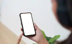 写真はイメージ=PIXTA 写真はイメージ=PIXTA