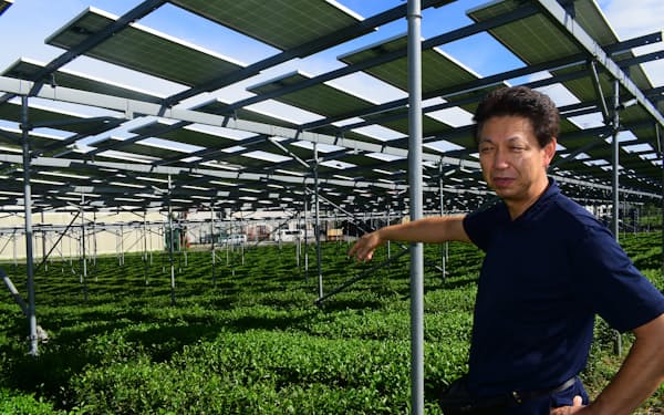 流通サービスの服部社長は茶畑を使った再エネ事業に自信を深めている（静岡県菊川市）