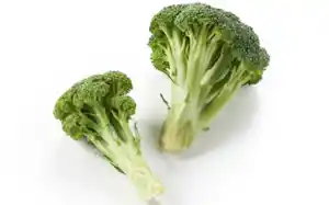 発売するブロッコリーの2番果「甘みがぎゅっ!ブロ次郎(静岡県産)」 発売するブロッコリーの2番果「甘みがぎゅっ!ブロ次郎(静岡県産)」