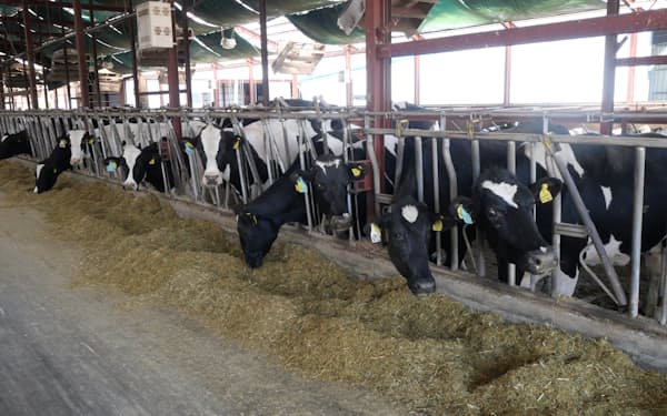 酪農家の生産コストが高まり、乳価を引き上げた（5月、北海道清水町）