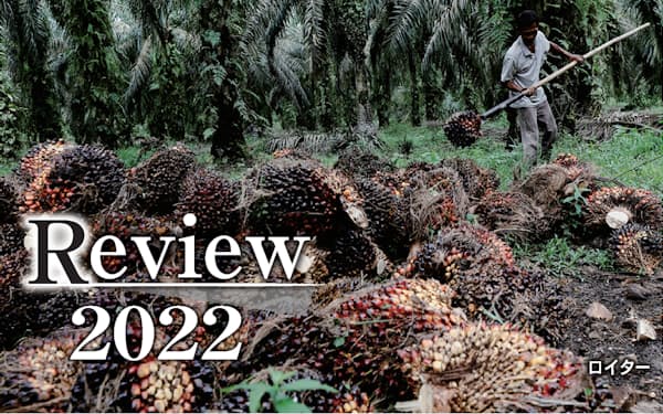 インドネシアはパーム油の禁輸に踏み切った＝ロイター