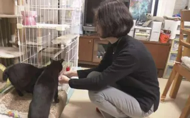 ミッドライフクライシスを感じ、退職後に猫との暮らしを始めた女性