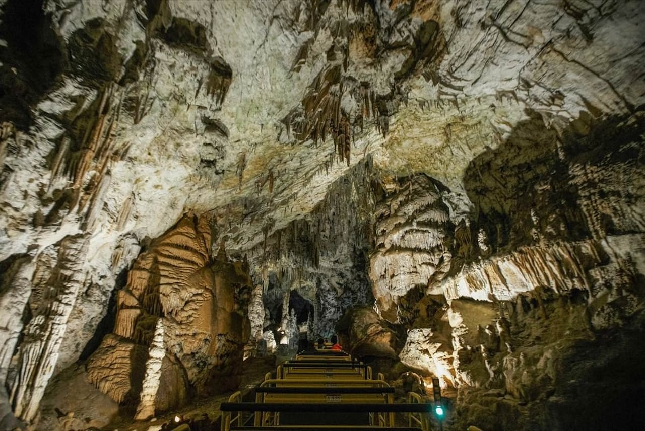 スロベニア随一の観光名所であるポストイナ鍾乳洞は、ホライモリの生息地でもある。かつて地元の人々は、ホライモリは竜の子どもだと信じていた（PHOTOGRAPH BY ZELJKO STEVANIC, XINHUA / EYEVINE / REDUX）