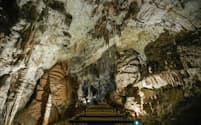 スロベニア随一の観光名所であるポストイナ鍾乳洞は、ホライモリの生息地でもある。かつて地元の人々は、ホライモリは竜の子どもだと信じていた（PHOTOGRAPH BY ZELJKO STEVANIC, XINHUA / EYEVINE / REDUX）