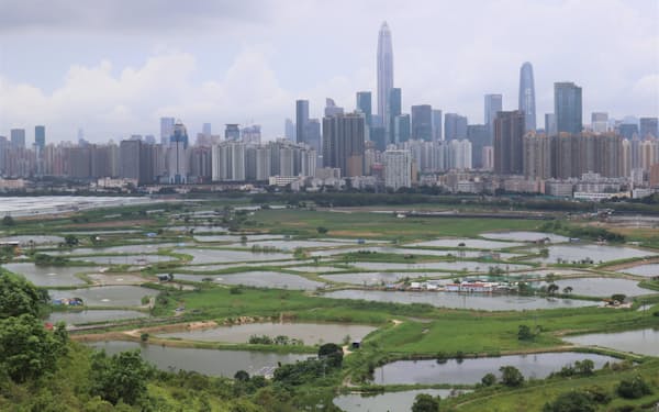 香港と中国本土の往来が本格的に再開する（写真は広東省深圳市に面する香港北部の湿地帯）
