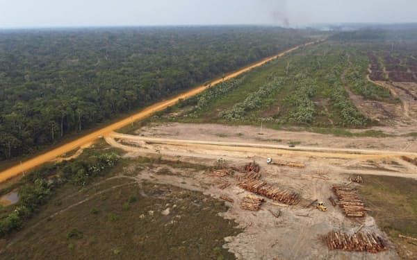 ブラジル・アマゾンの森林伐採現場（9月）＝AP