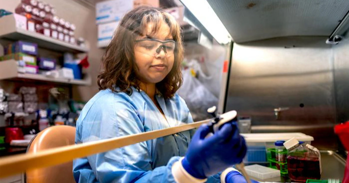 ノーベル賞の制御性T細胞、自閉症の子どもは少なく 米大学が解明 - 日本経済新聞