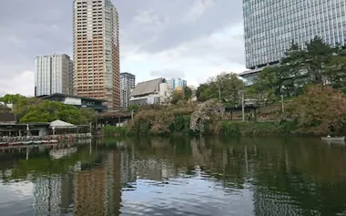 外濠(牛込濠)では水質の悪化が課題となっている(写真:東京都「外濠浄化に向けた実施計画」)