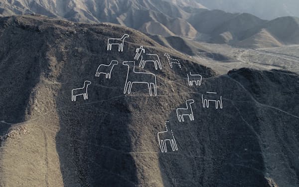 小型の面的な地上絵は、ナスカ台地に隣接するアンデス山脈の末端に当たる山腹でも見つかった。リャマとみられるラクダ科の動物の群れを描いた地上絵で、絵柄がぼやけているため、白線でその輪郭を示す（写真提供：山形大学ナスカ研究所）