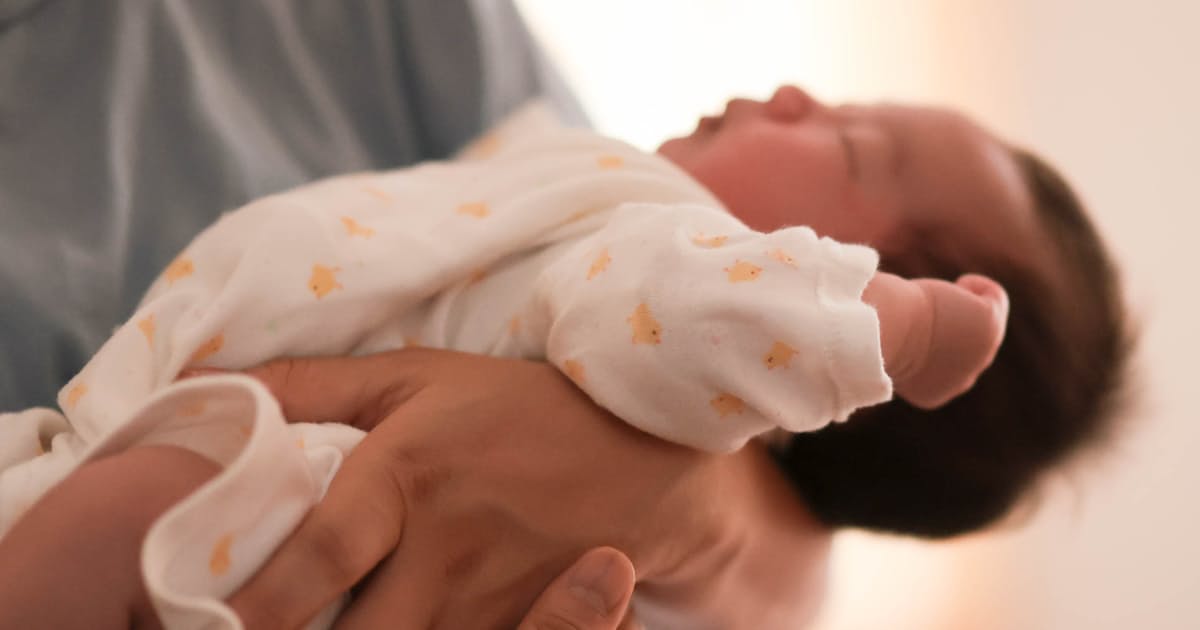 日本版DOGE、中小・子ども支援削減求める声多く 対応に各省苦慮 - 日本経済新聞